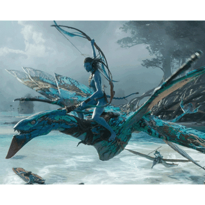 Terry Notary - Pioneer Signings