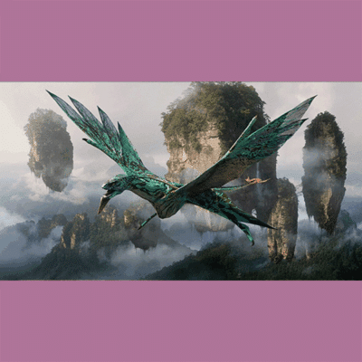 Terry Notary - Pioneer Signings