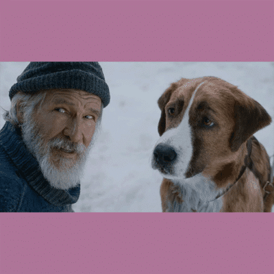 Terry Notary - Pioneer Signings