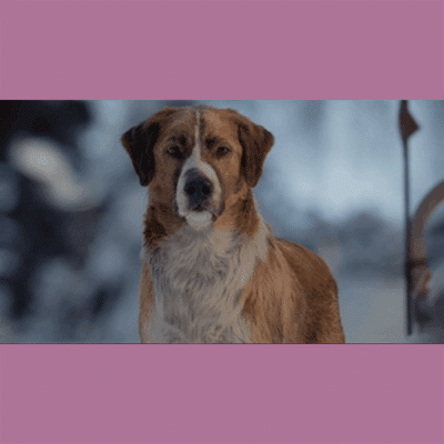 Terry Notary - Pioneer Signings