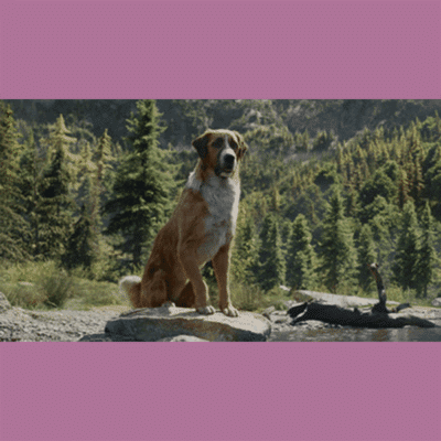 Terry Notary - Pioneer Signings