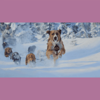 Terry Notary - Pioneer Signings