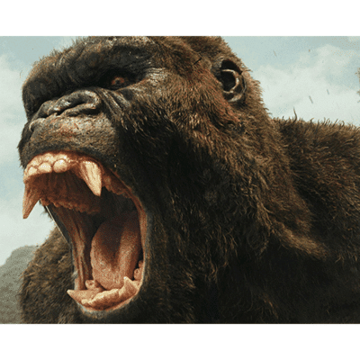 Terry Notary - Pioneer Signings