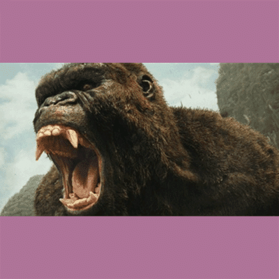 Terry Notary - Pioneer Signings