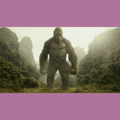 Terry Notary - Pioneer Signings