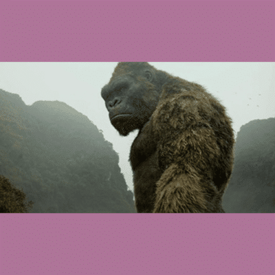 Terry Notary - Pioneer Signings