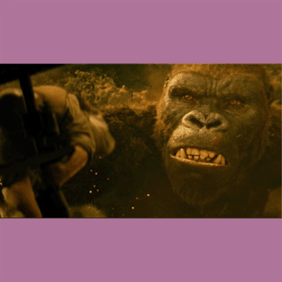 Terry Notary - Pioneer Signings