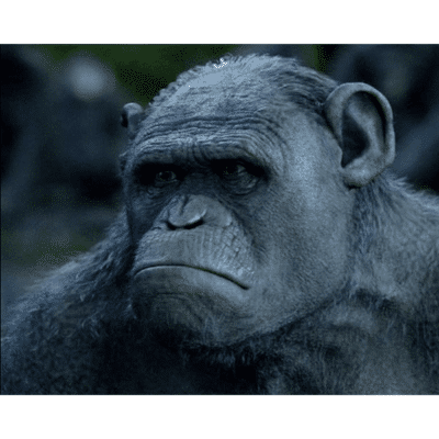 Terry Notary - Pioneer Signings