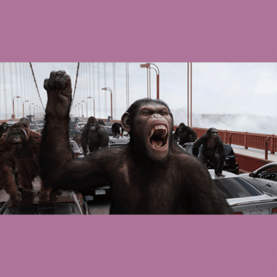 Terry Notary - Pioneer Signings