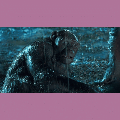 Terry Notary - Pioneer Signings