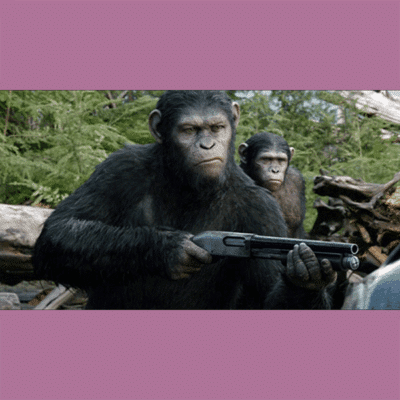 Terry Notary - Pioneer Signings