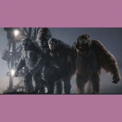 Terry Notary - Pioneer Signings