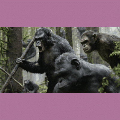 Terry Notary - Pioneer Signings