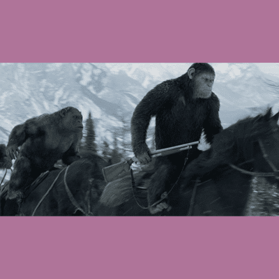 Terry Notary - Pioneer Signings