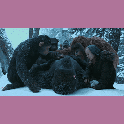 Terry Notary - Pioneer Signings