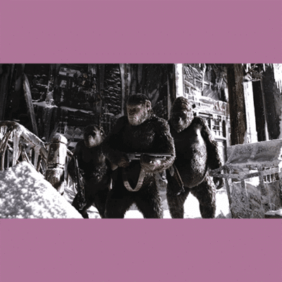 Terry Notary - Pioneer Signings