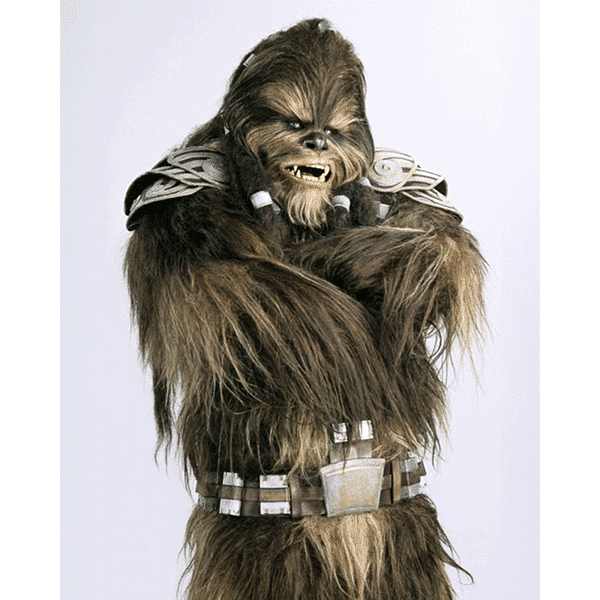 Michael Kingma - Star Wars - Tarfful 2 - Pioneer Signings