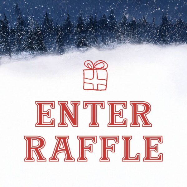 Lord of the Rings 12 Days of Christmas Raffle